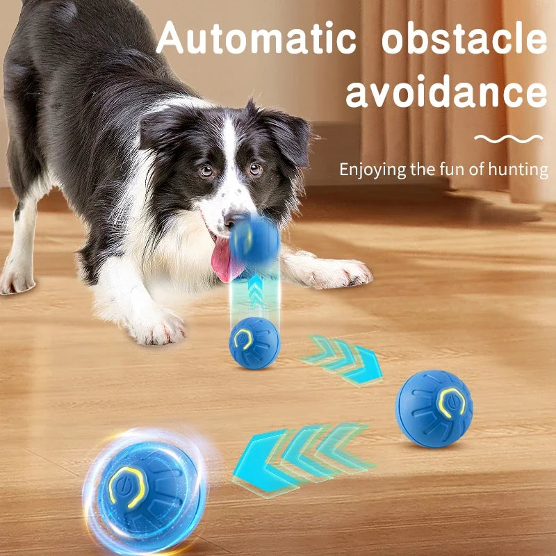 Balle Interactive Rebondissante pour Chien et Chat – Caoutchouc Naturel & Capteur d'Obstacles